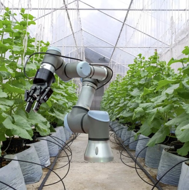 High tech meets agri: innovaties die de sector veranderen